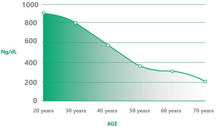 TestoGen-Graph