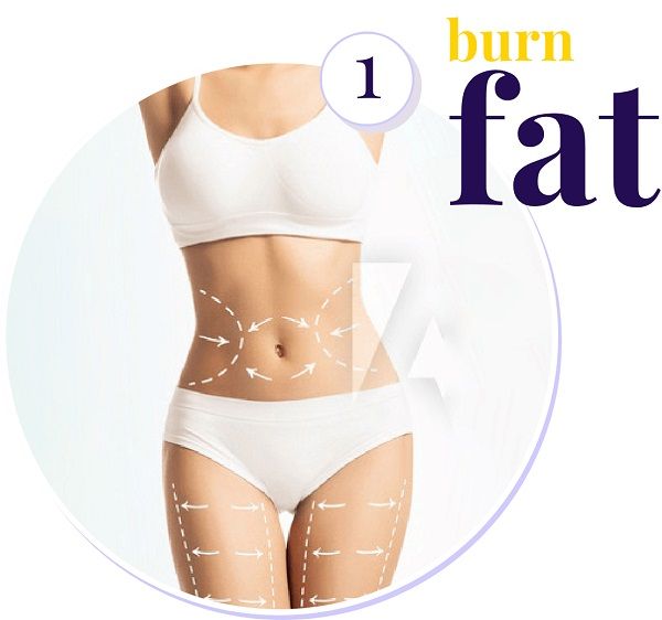 Burn-Fat