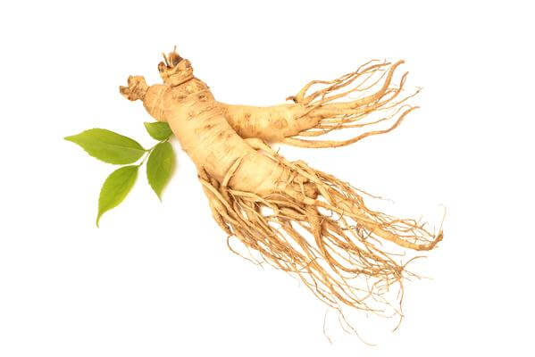 Ginseng- Best Testosterone Boosting Foods