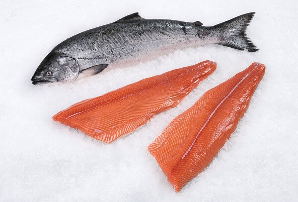 Wild Salmon- Best Testosterone Boosting Foods