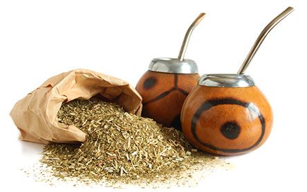 Yerba-Maté-Ingredient