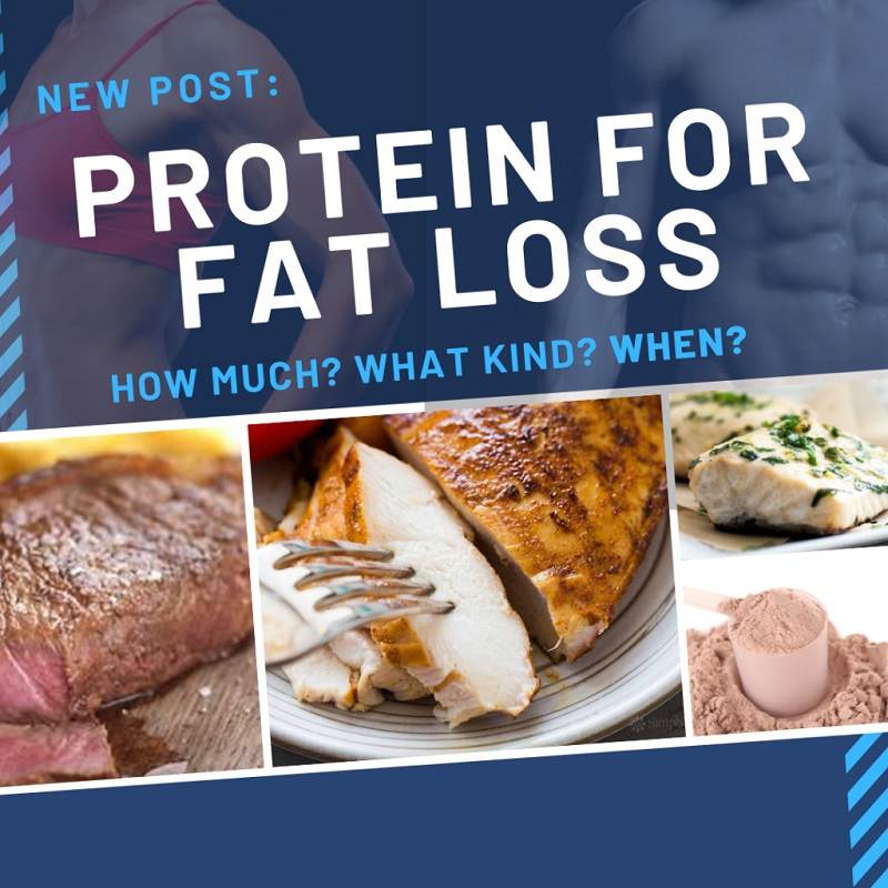Protein For Weight Loss