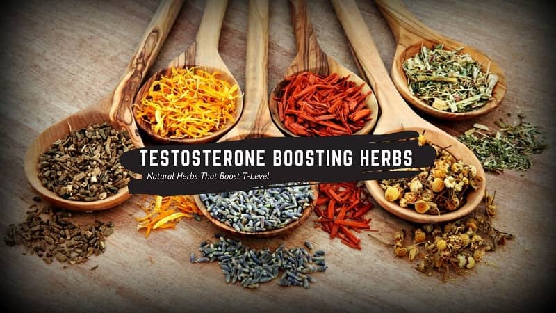 Testosterone Boosting Herbs