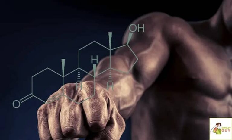 Intermittent Fasting And Testosterone Boost Anabolic Hormones