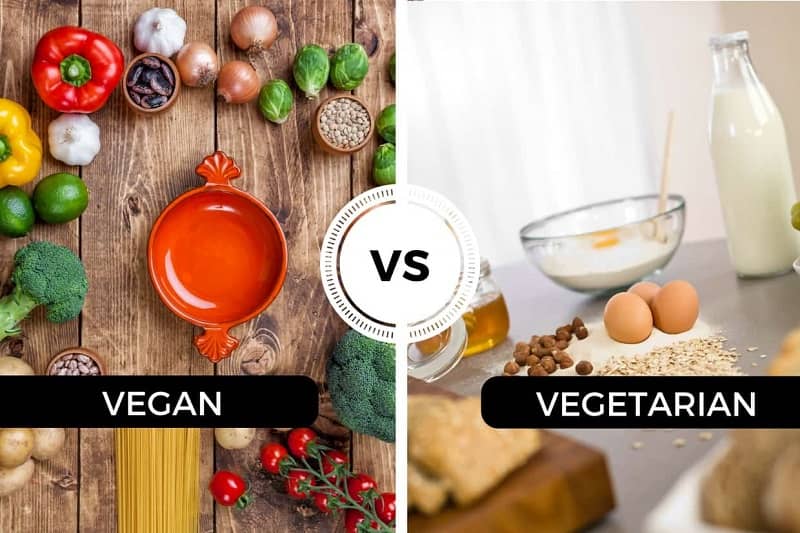 Vegan-vs-Vegetarian-Diet