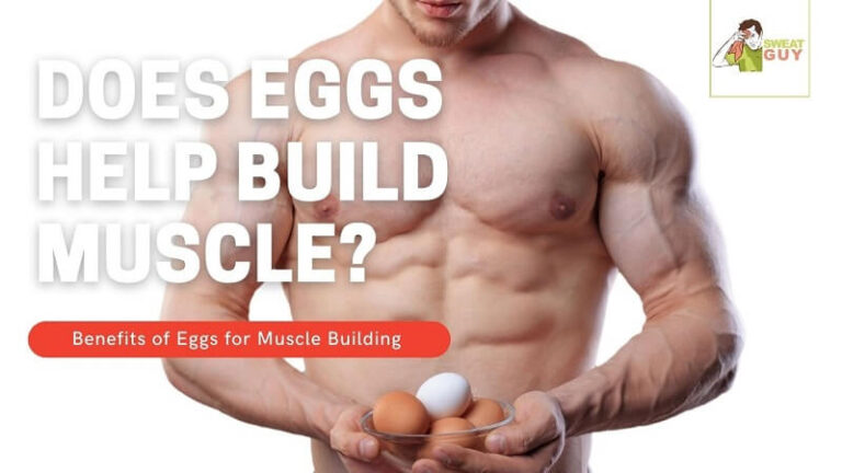 Eggs For Muscle Building Why It Is Ideal For Muscle Build Up