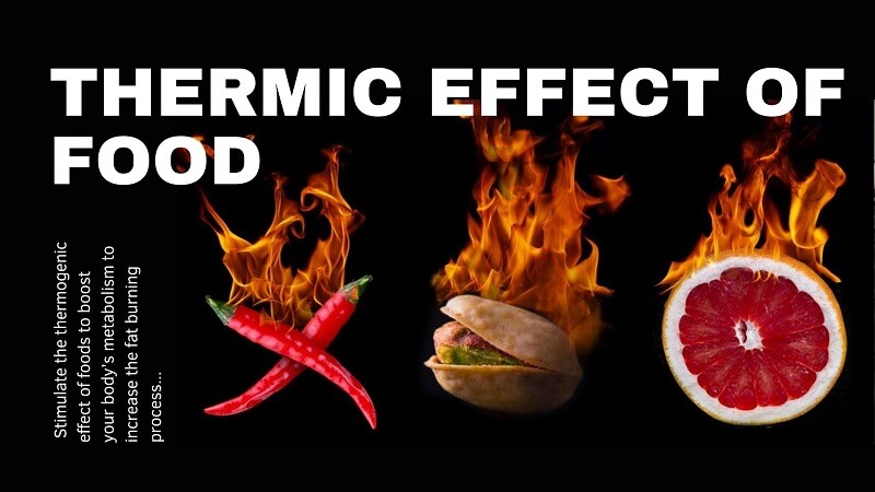 Thermic Effect of Food