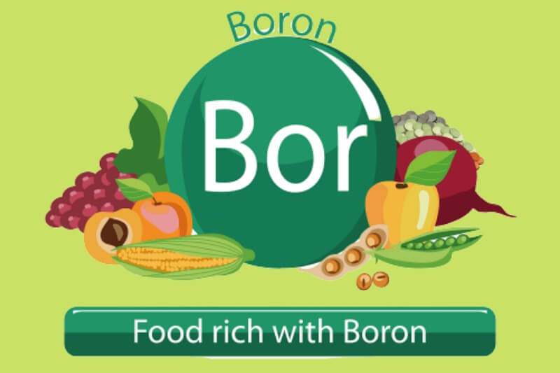 foods-rich-in-boron