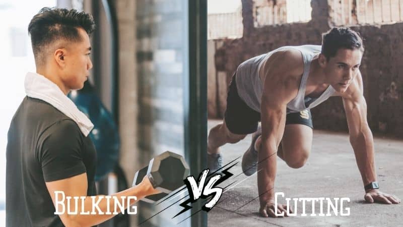 Bulking vs Cutting workout