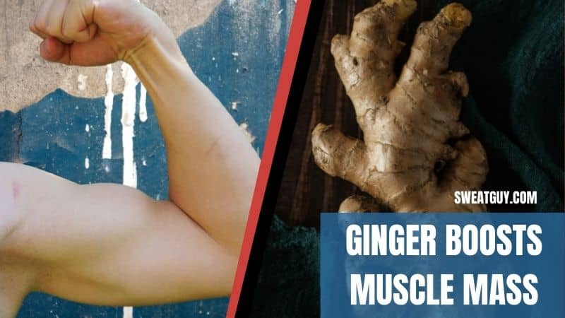 Is Ginger Good For Muscle Growth