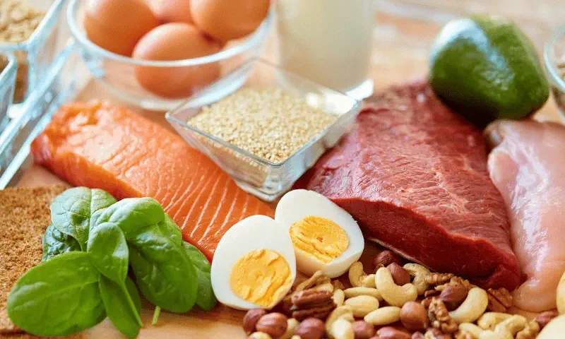protein intake for muscle growth female