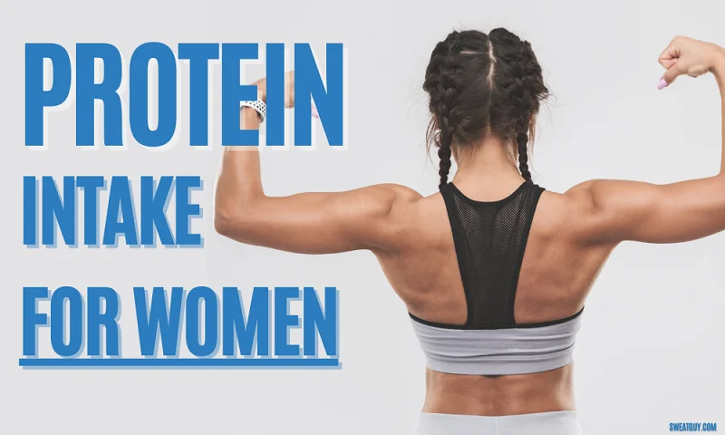 how much protein should I eat to gain muscle female