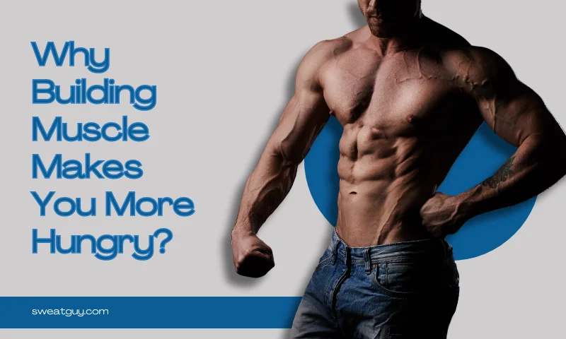 does building muscle make you hungrier