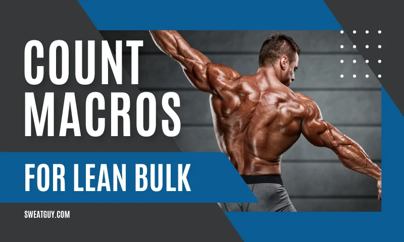 how to count macros for lean bulking