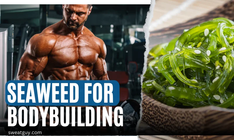 is seaweed good for muscle building