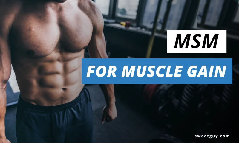 Does MSM Help Build Muscle