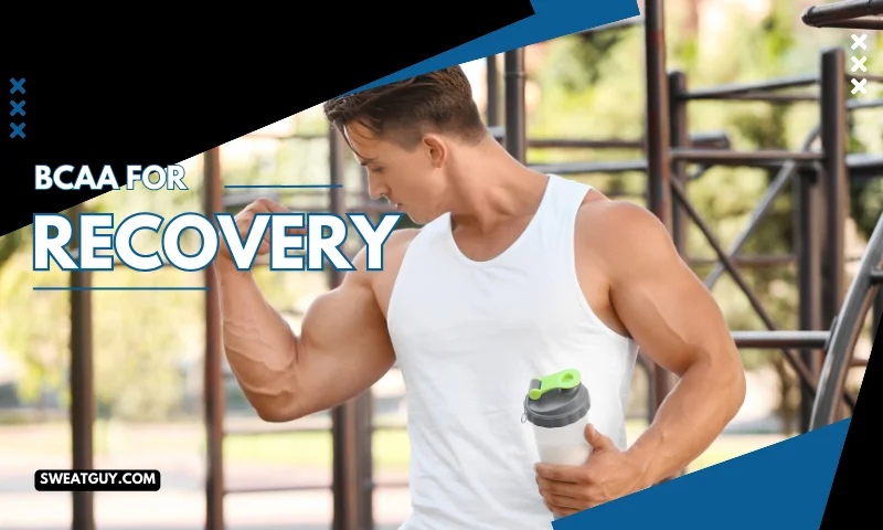 is bcaa good for muscle recovery