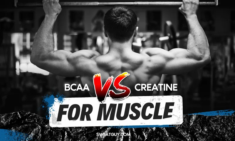 BCAA vs creatine for muscle growth